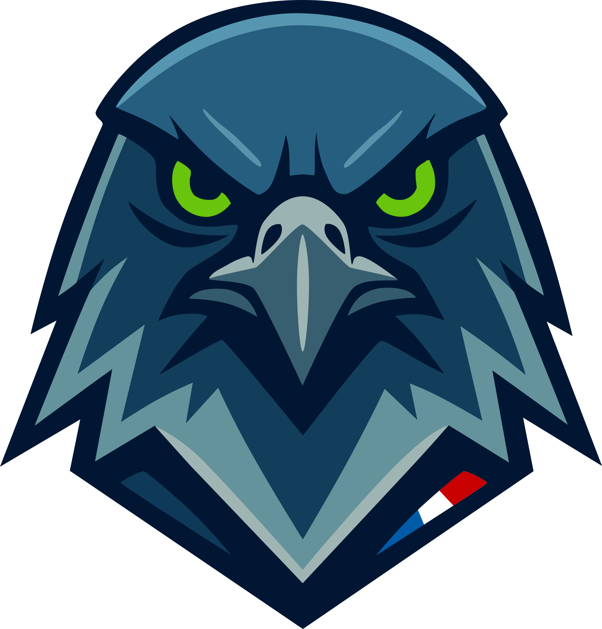 SITREP